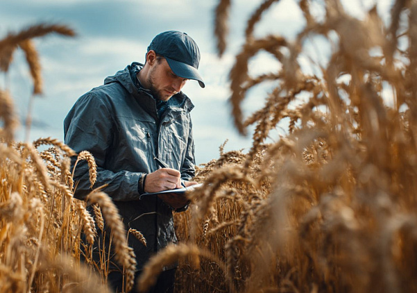  Особенности СЕО для сайтов сх-техники